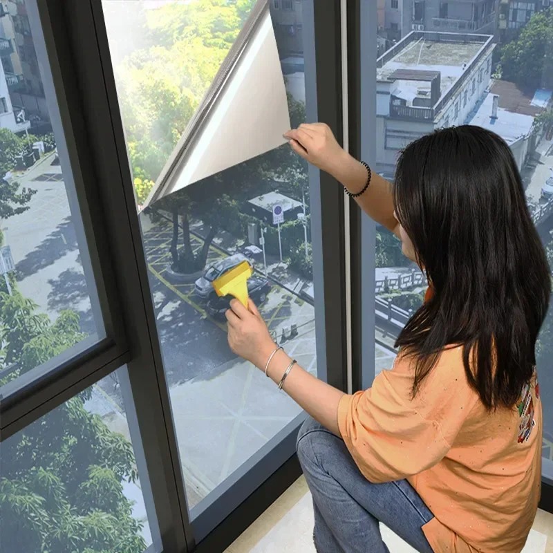 House Window Privacy Film Adhe - Privacy Screen Protector review and price